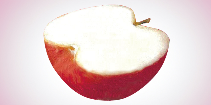 はんぶんりんごシャーベット